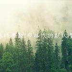 布林线参数(布林线的默认参数)
