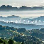 柚子币价格(柚子币价格今日行情价格)