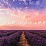 pny怎么样（pny为什么便宜）