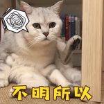 基金新手入门书籍（基金入门书籍）