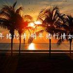 明年猪行情(明年猪行情如何)