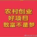 养殖业什么最赚钱农村（北方养殖业什么最赚钱农村）