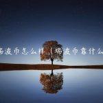 投资瑞波币怎么样（瑞波币靠什么收益）