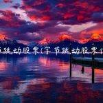 字节跳动股票(字节跳动股票代码)