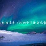 狗狗币行情美元（狗狗币行情美元最新价）