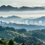 nsd怎么样（nsd是什么牌子）