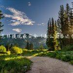 泰达币怎样提现最安全（怎么卖泰达币安全）
