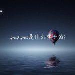 ignis(ignis是什么牌子的)