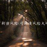 可转债风险(可转债风险大吗)