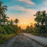 以太坊挖矿(以太坊挖矿一天收益多少)