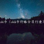 shi币（shib币价格今日行情）