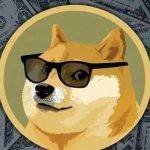 莱特币矿机(莱特币矿机L十3多少钱一台)