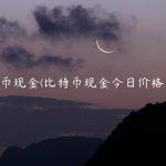 比特币现金(比特币现金今日价格多少)