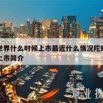 陀螺世界什么时候上市最近什么情况陀螺世界何时上市简介