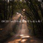 ERC20（erc20手续费为什么这么高）