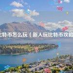 比特币怎么玩（新人玩比特币攻略）