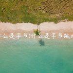 什么是字节(什么是字节跳动)