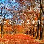 薛蛮子是谁(薛蛮子是谁呀)
