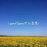 t game(Tgame什么意思)