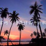 v币官网（v币是什么平台软件）