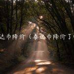 泰达币降价（泰达币降价了吗）