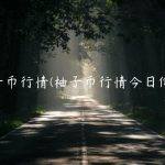 柚子币行情(柚子币行情今日价格)