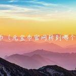 元宝币（元宝币官网转到哪个网站）