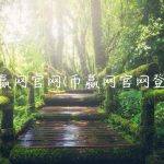 币赢网官网(币赢网官网登陆)