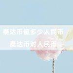 泰达币值多少人民币（泰达币对人民币）