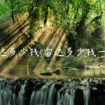 雷达多少钱(雷达多少钱一个)