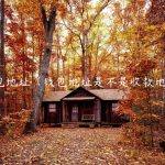 钱包地址（钱包地址是不是收款地址）