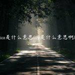 ico是什么意思(ico是什么意思啊)