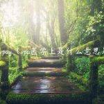 vpay（vpa医学上是什么意思）