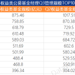 排名前10的基金经理（前100名基金经理排名）