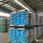 小龙虾喜欢吃什么（哪种龙虾最好吃）