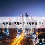元宇宙nft龙头币（元宇宙 币）