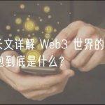 万字长文详解 Web3 世界的通行证：钱包到底是什么？