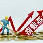 宽基指数基金一览表（宽基指数基金和窄基指数基金）