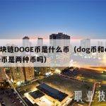 区块链DOGE币是什么币（dog币和doge币是两种币吗）