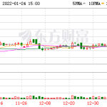 新炬网络股吧（新炬网络总股本）