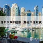 什么币今年猛涨（最近币价大涨）