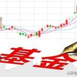 新手怎么去买基金（新手买基金去哪里买）