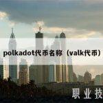 polkadot代币名称（valk代币）