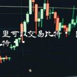 国内哪里可以交易比特币