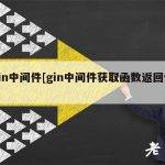 gin中间件[gin中间件获取函数返回值]