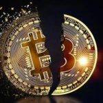 维卡币2023年有新消息吗 维卡币终于要交易了吗