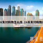 π支付购物怎么找（π币支付购物）