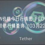 FLOW价格今日行情图_FLOW最新实时价格行情查询（03月22日）