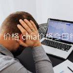 chia 价格 chia价格今日行情-比特号