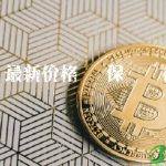 环保币最新价格 环保币现在多少钱一枚-链应用